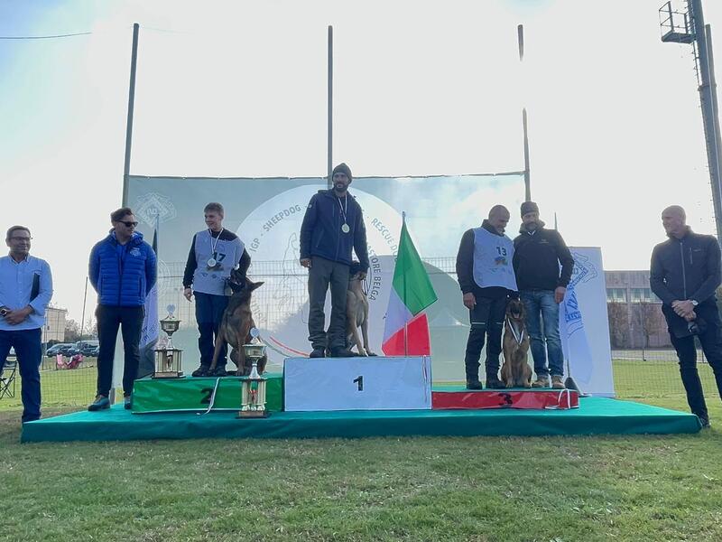 Addestramento Malinois