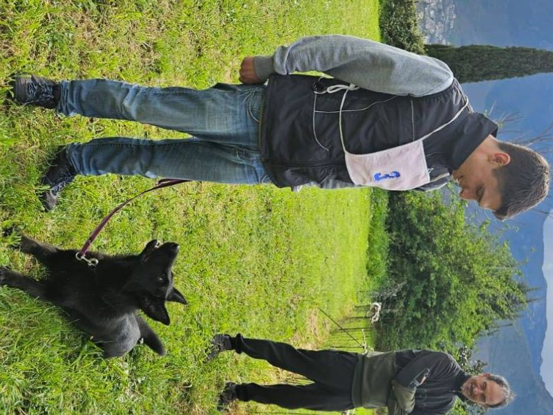 Relazione cane conduttore